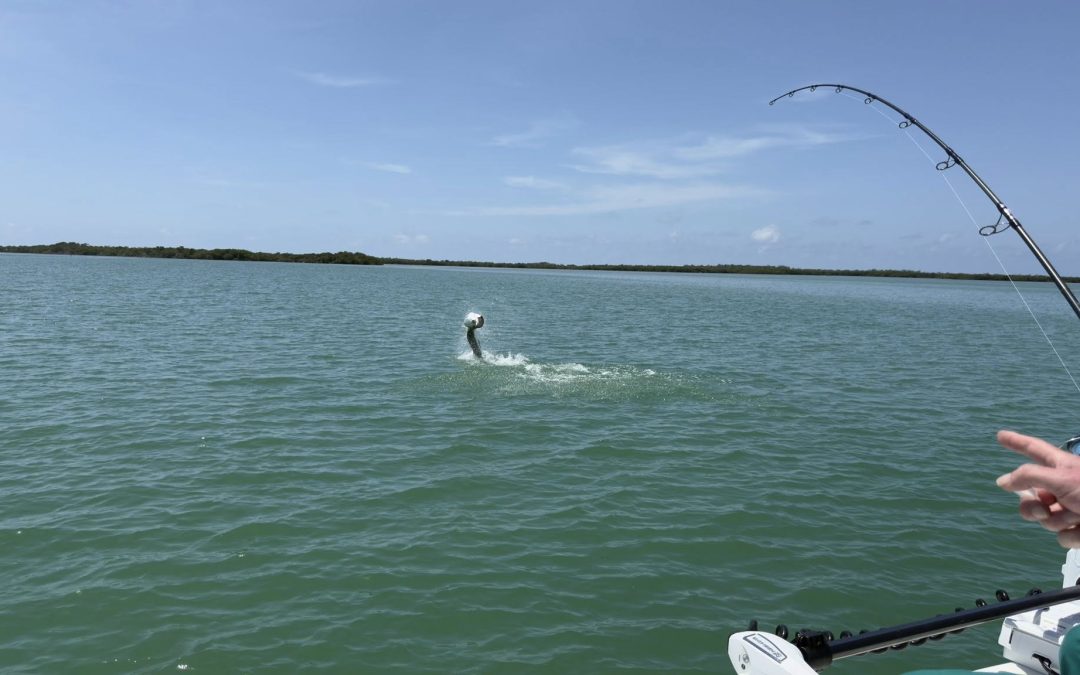 June 17th Flats Fishing Report